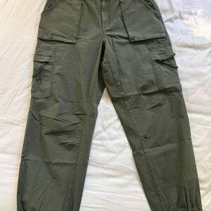 American Eagle Outfitters Olive Green Cargo Pants
